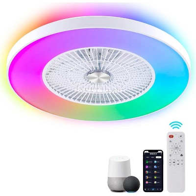 HUMHOLD 24 Inch Smart Modern Ceiling Fan with Lights and Remote/APP Control