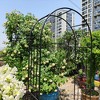 NicBex Metal Garden Arch Trellis, L42.24" X W17.52" X H85.82" Plant Trellis Outdoor Anti-Rust Arched Garden Trellis, Black - 2 of 4