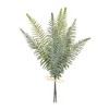 Melrose Fern Foliage Bundle (Set of 2) - 3 of 3