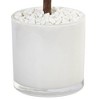 2ft Artificial Sweet Bay Tree in White Glossy Cylinder - Nearly Natural: Indoor Decorative Faux Foliage - image 3 of 3