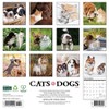 Willow Creek Press Cat's And Dogs 2025 Wall Calendar: Monthly, 12x12 Inches, Paper, Sewn Binding, All Ages - 2 of 4