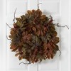 Nearly Natural 24” Fatsia with Berries Autumn Artificial Wreath - 2 of 4