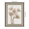 Amanti Art Poppies in Sepia II by Tim Otoole Wood Framed Wall Art Print - 3 of 4