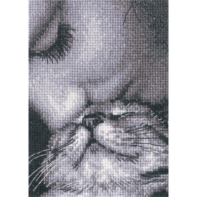 RTO Admirers C425 Counted Cross Stitch Kit : Target