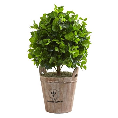 2.5' Artificial Ficus Tree in Farmhouse Planter Green - Nearly