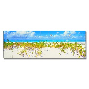 Trademark Fine Art -Preston 'Turks Beach' Canvas Art - 1 of 2