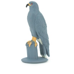 Collectible Wildlife Gifts | Snail Kite, Rostrhamus sociabilis, Snail-eating Hawk, Hand Painted, Rubber Bird, Realistic Figure, Gift, 2"  SF43 B15 - 1 of 4