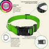 Country Brook Petz Deluxe Reflective Nylon Dog Collar - 4 of 4