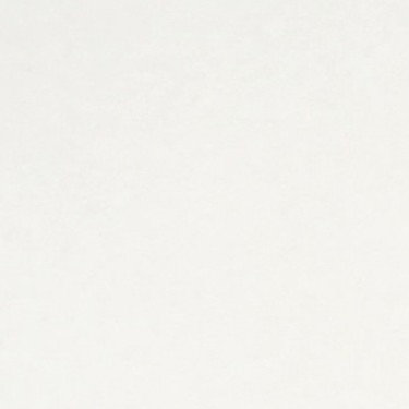 basic white