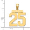 Black Bow Jewelry 14k Yellow Gold, Athletic Collection, Large Polished Number 25 Pendant - 2 of 3
