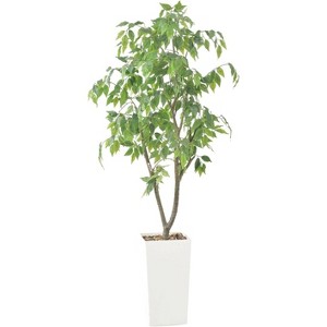 Coucheta Artificial Ficus Trees - with Decorative Planter for Home, Office & Living Room Décor, Available in Multiple Sizes & Finishes - 1 of 4