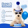 Pacific Pups Products Dog Birthday Party Set - 5 Piece Kit for Birthday Party for Dogs - 3 of 4