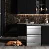 Tylza 23.42-Inch Built-In Stainless Steel Beverage Refrigerator - Home & Commercial Grade Cooler - 2 of 4