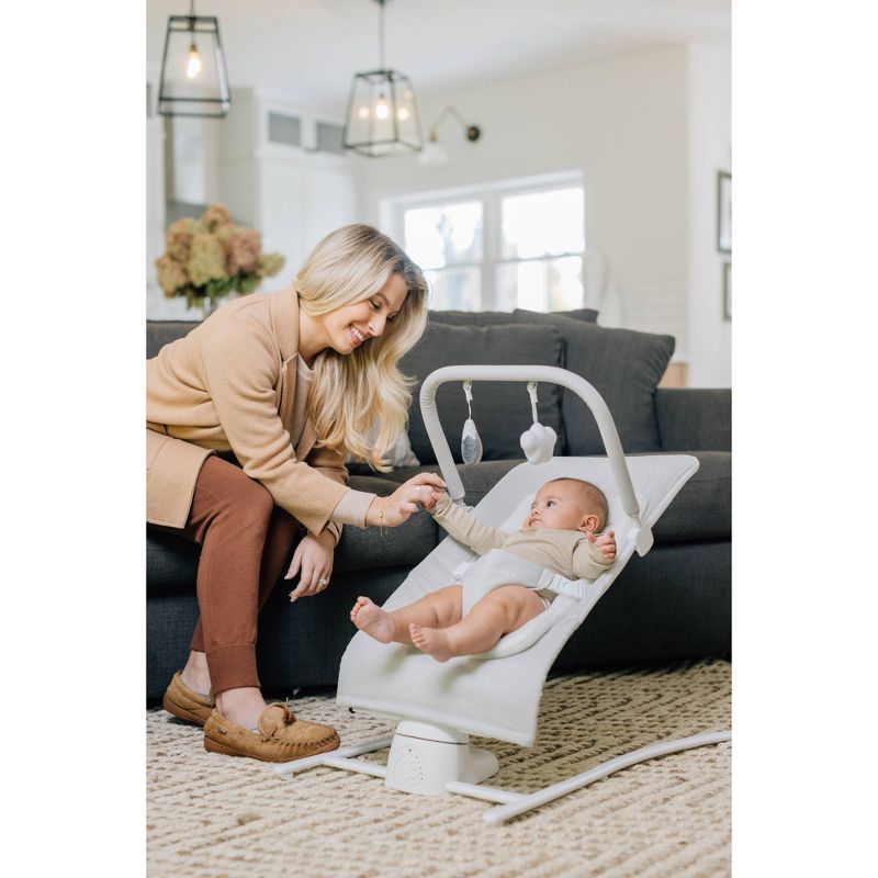 Baby Delight Alpine Wave Deluxe Bouncer with Motion - Driftwood Gray, 3 of 18