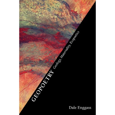 Geopoetry - (Recencies Series: Research and Recovery in Twentieth-Century) by  Dale Enggass (Hardcover)