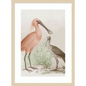 Amanti Art Antique Chroma Waterbirds II by  Wood Framed Wall Art Print - 1 of 4