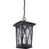 Grover 1-Light Mystic Black Outdoor Hanging Lantern - 4 of 4
