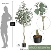 Artificial Eucalyptus Tree, 4/5/6 FT Tall Fake Eucalyptus Plant for Indoor Outdoor, Faux Tree for Home Office Modern Large Fake Plant Decor - 3 of 4