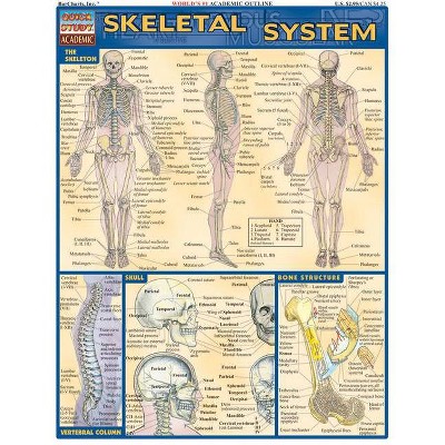 Skeletal System - (Quickstudy: Academic) by  Vincent Perez (Poster)