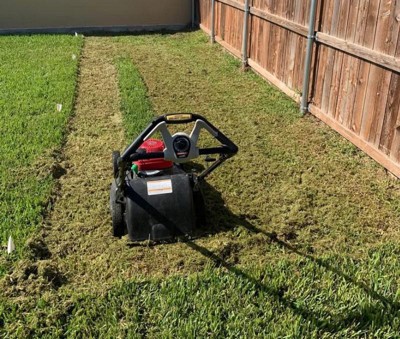 Guest review image 1 of 1, zoom in