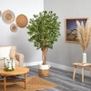 Nearly Natural 6-ft Japanese Maple Artificial Tree in Handmade Natural Jute and Cotton Planter - 4 of 4