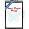 Trends International Stone Temple Pilots - Butterfly Framed Wall Poster Prints - 3 of 4