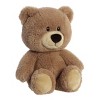 Aurora Large Hugga-Wug Bear Snuggly Stuffed Animal Brown 13.5" - 2 of 4