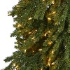 8ft. Grand Alpine Artificial Christmas Tree with 500 Clear Lights & 1051 Branches on Trunk – Regal Holiday X-Mas Display - 3 of 4