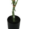 Monarch Specialties Artificial Plant  Tall Dieffenbachia Tree Indoor Faux Fake Floor Greenery Potted Real Touch Decorative Green Leaves Black Pot - 3 of 4