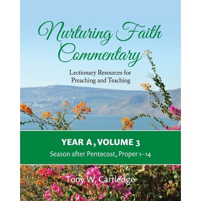 Nurturing Faith Commentary, Year A, Volume 3 - (Nurturing Faith Commentary: Lectionary Resources for Preaching and Teaching) by  Tony W Cartledge