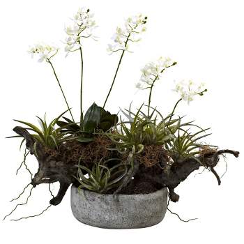 20" x 22" Artificial Orchid & Succulent Garden with Driftwood - Nearly Natural