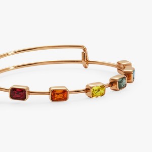 Alex and Ani Rainbow In-Line Stone Bangle - 1 of 3