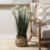 Sullivans Artificial 31" Medium Potted Puff Green Grass - 3 of 4