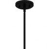 Quoizel Lighting Hanley 4 - Light Pendant in  Matte Black - 3 of 4
