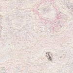 beige/ivory
