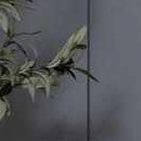 beige, medium gray, medium brown, tan