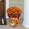 Briarwood Lane Fall Planter 14" x 15" x 15" Fall Beauty Large For Fall Planter - 2 of 2