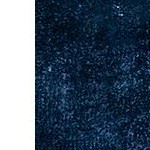loni navy