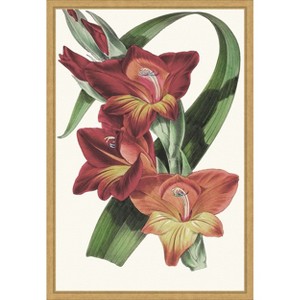 Amanti Art Paxton Tropicals II by Jennifer Paxton Parker Framed Canvas Wall Art - 1 of 4