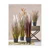 tagltd Cattail Grass - 3 of 3