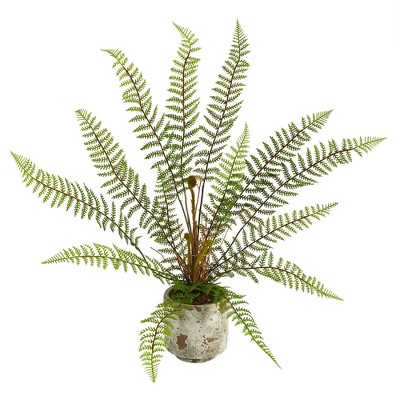 14 X 13 3pc Artificial Ferns With Planter Set - Nearly Natural : Target