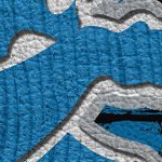 detroit lions