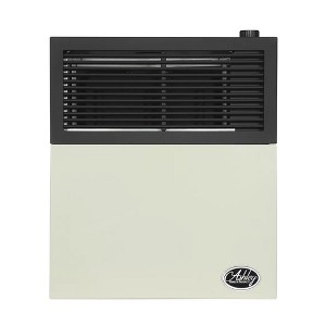 Ashley Hearth 11,000 BTU Direct Vent Propane Wall Heater, Model DVAG11N, Cream - 1 of 4