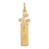 Black Bow Jewelry 14k Yellow Gold Satin & Diamond Cut Golf Bag Pendant, 7 x 27mm - 3 of 4