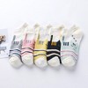 Alilang Adorable Cat - Print No Show Socks Soft for Casual 5Pk - 4 of 4