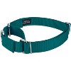 Country Brook Design Martingale Heavyduty Nylon Dog Collar and Double Handle Leash - 2 of 4