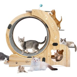 Cat Exercise Wheel for Indoor, Cat Running Wheel with Climbing Ladders & Scratching Board, Ultra Quiet Cat Treadmill Wheel for Daily Fitness - 1 of 4