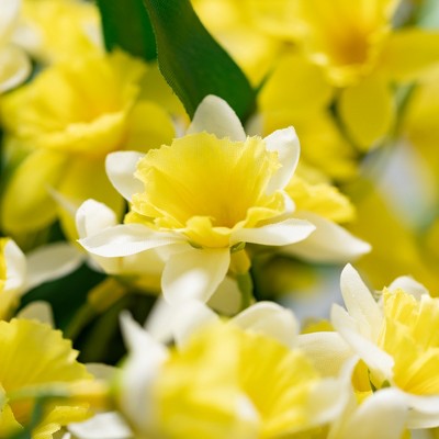 Room Home Decoration Garland Daffodil Fake Flowers Narcissus Artificial Plant