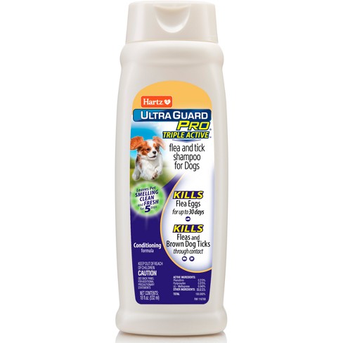 Will regular dog shampoo hotsell kill fleas