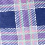 ultra blue plaid